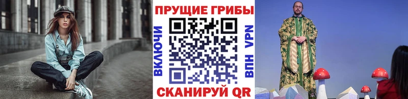 Псилоцибиновые грибы Magic Shrooms  купить наркотик  ОМГ ОМГ ССЫЛКА  Сарапул 